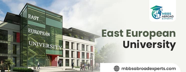 East European University